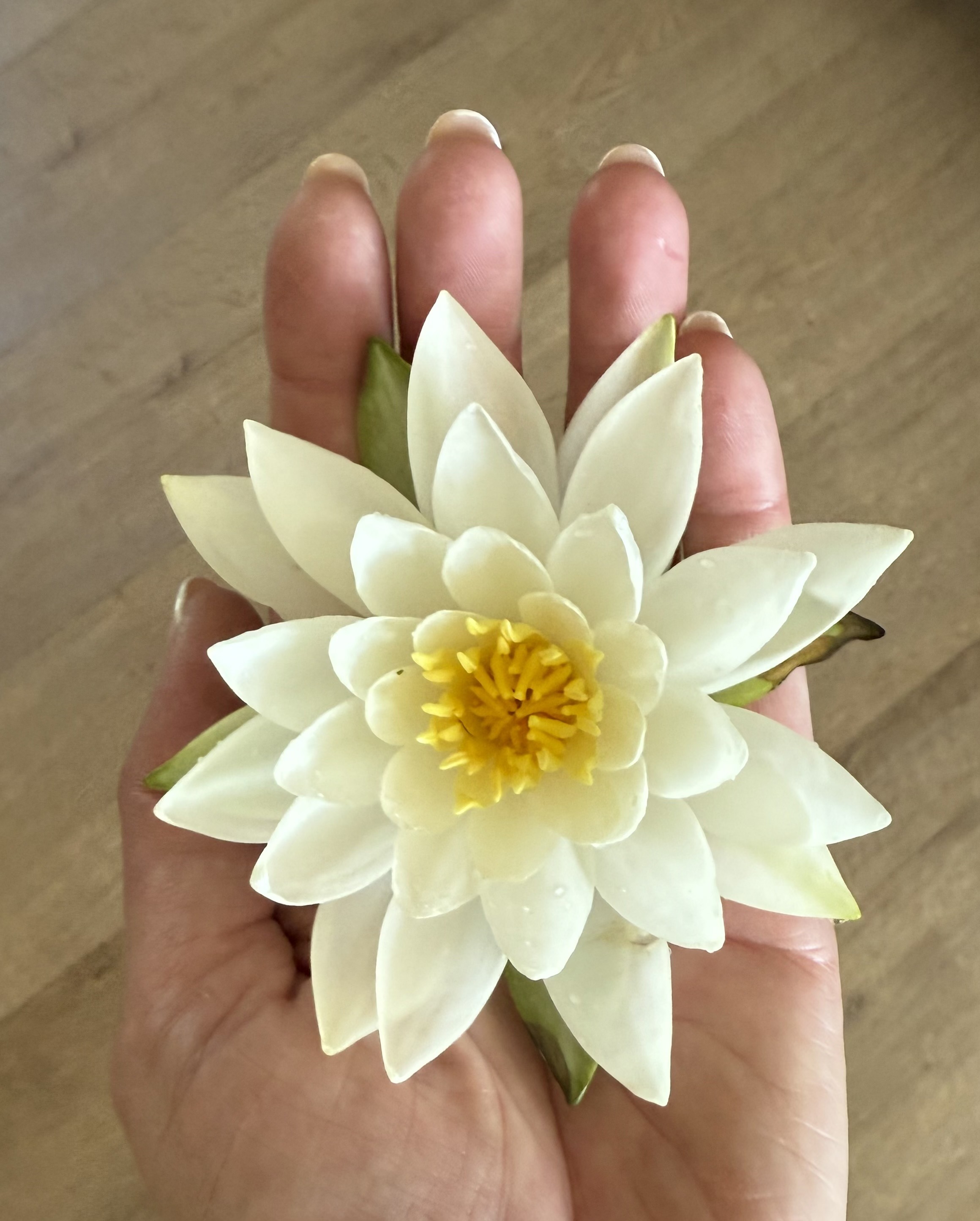 woman's hand holding water lily